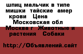 шпиц мальчик в типе - мишки, тайские, амер. крови › Цена ­ 25 000 - Московская обл., Москва г. Животные и растения » Собаки   
